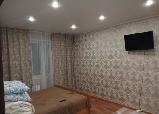 Сдается в аренду 1-комнатная квартира, 30.9 м2, Рубцовск, проспект Ленина, 44