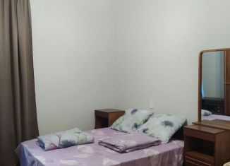 Аренда 2-комнатной квартиры, 63 м2, Санкт-Петербург, улица Константина Заслонова, 22