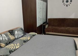 Сдаю в аренду 1-комнатную квартиру, 42 м2, Республика Башкортостан, улица Достоевского, 97