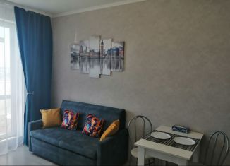 Сдам в аренду квартиру студию, 20 м2, Мурино, Воронцовский бульвар, 21к3