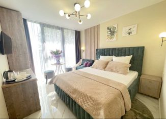 Аренда квартиры студии, 22 м2, Сочи, Волжская улица, 72/2