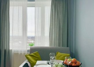 Продается 1-комнатная квартира, 39.3 м2, Санкт-Петербург, Советский проспект, 36к1, муниципальный округ Рыбацкое