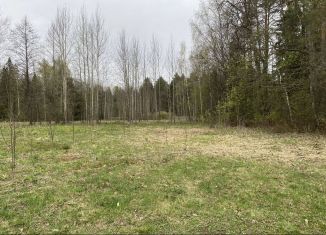 Участок на продажу, 11 сот., деревня Шоя-Кузнецово, Летняя улица, 25