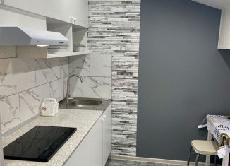 Аренда 1-ком. квартиры, 33 м2, Краснодар, Домбайская улица, 10/2, микрорайон ККБ