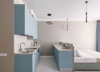 Продаю квартиру студию, 18.9 м2, Москва, Шереметьевская улица, 1к1, Шереметьевская улица