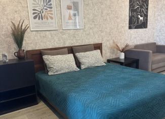 Сдача в аренду однокомнатной квартиры, 46 м2, Республика Башкортостан, улица Генерала Кусимова, 11