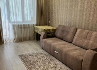 Сдается в аренду однокомнатная квартира, 34 м2, Республика Башкортостан, улица Гафури, 13