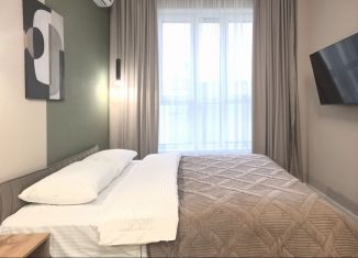 Сдаю в аренду квартиру студию, 26 м2, Республика Башкортостан, улица Менделеева, 137