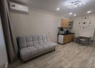 Квартира на продажу студия, 27 м2, село Зубово, улица Игоря Талькова, 5