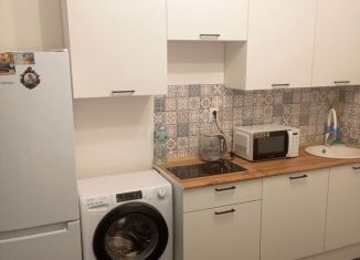 Однокомнатная квартира в аренду, 36.6 м2, Мурино, Екатерининская улица, 34, ЖК Авиатор