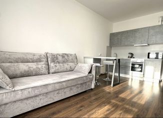 Продаю квартиру студию, 24.4 м2, Санкт-Петербург, Арцеуловская аллея, 21