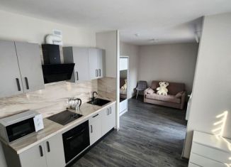 Сдается квартира студия, 30 м2, посёлок Парголово, Заречная улица, 56