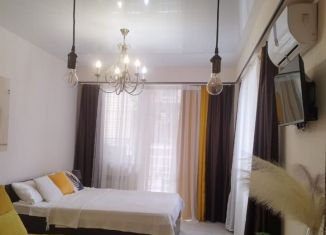 Сдам в аренду квартиру студию, 30 м2, Сириус, улица Станиславского, 1А