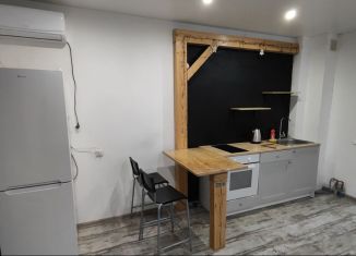 Квартира в аренду студия, 31 м2, Новосибирск, Танковая улица, 34, ЖК Астра