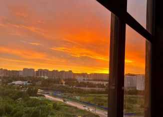 Продаю квартиру студию, 28.8 м2, деревня Новое Девяткино, ЖК Заречный Парк, Главная улица, 12