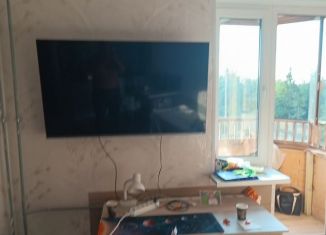 Сдам в аренду квартиру студию, 24 м2, Ломоносов, Михайловская улица, 51