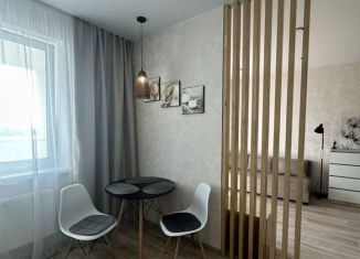 Сдам 1-ком. квартиру, 40.5 м2, Пермь, улица Чернышевского, 17Д, ЖК Альпийская Горка