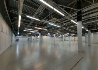 Сдается в аренду помещение свободного назначения, 1600 м2, Сыктывкар, Октябрьский проспект, 131/3, район Орбита