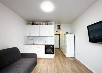 Продается квартира студия, 24 м2, деревня Дударева, улица Сергея Джанбровского, 1