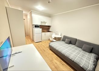 Продажа квартиры студии, 20 м2, посёлок Парголово, Толубеевский проезд, 8к2