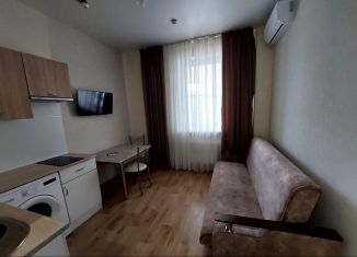 Сдаю квартиру студию, 26 м2, Краснодар, улица имени Максима Горького, 190, микрорайон Центральный