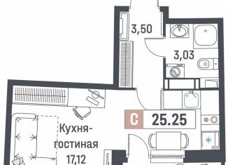Продам квартиру студию, 25.3 м2, Мурино, ЖК Авиатор