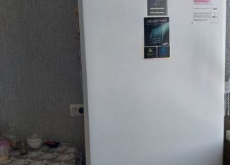 Сдача в аренду двухкомнатной квартиры, 50 м2, Абакан, улица Щетинкина, 80