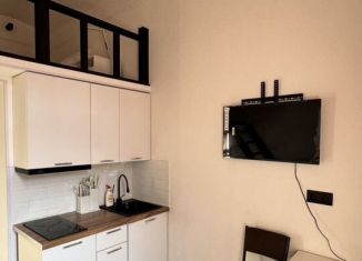 Сдам квартиру студию, 21 м2, Санкт-Петербург, Нарвский проспект