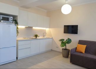 Сдам в аренду квартиру студию, 30 м2, Сириус, улица Станиславского, 1А