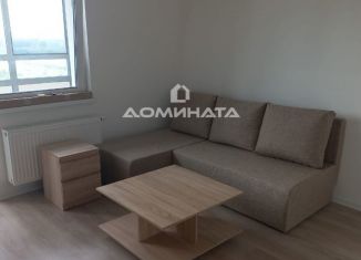 Сдам в аренду квартиру студию, 18 м2, Санкт-Петербург, Пахомовская улица, 21