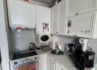 Продажа квартиры студии, 20.6 м2, деревня Хохряки, улица Петра Чайковского, 4