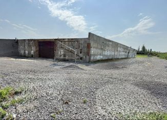 Сдаю помещение свободного назначения, 800 м2, Тамбов, улица Киквидзе, 70А