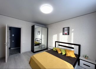 Сдам в аренду однокомнатную квартиру, 42 м2, Республика Башкортостан, улица Рудольфа Нуреева, 5