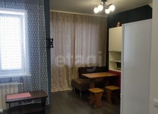 Продам квартиру студию, 24.1 м2, Новосибирск, улица Николая Грицюка, 1, Кировский район