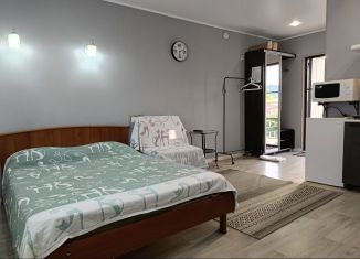 Сдам в аренду квартиру студию, 25 м2, Сириус, улица Щирова, 16/1