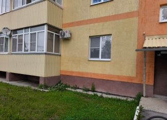 Сдаю 1-ком. квартиру, 49.8 м2, Магнитогорск, улица Дёмы, 123