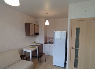 Продажа 1-комнатной квартиры, 27.8 м2, сельский посёлок Новинки, 2-я Дорожная улица, 5, ЖК Новинки Смарт Сити