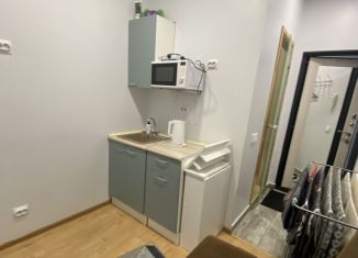 Продаю квартиру студию, 12 м2, Санкт-Петербург, набережная Лейтенанта Шмидта, 35, Василеостровский район