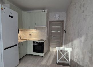 Сдается в аренду однокомнатная квартира, 31 м2, Кудрово, Английская улица, 2