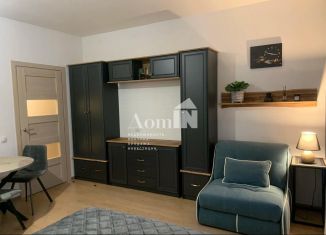 Квартира на продажу студия, 31 м2, Санкт-Петербург, Советский проспект, 36к2, муниципальный округ Рыбацкое