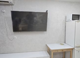 Квартира на продажу студия, 26.4 м2, Благовещенск, Северная улица, 38