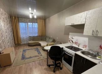 Сдается в аренду однокомнатная квартира, 28 м2, Абакан, улица Чехова, 135