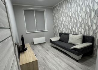 Продаю 1-комнатную квартиру, 24.5 м2, посёлок Голубево, Лазурная улица, 8