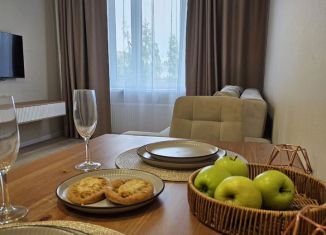 Однокомнатная квартира в аренду, 47 м2, Карелия, бульвар Интернационалистов