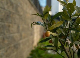 Продажа дома, 240 м2, Сочи, Ворошиловградская улица