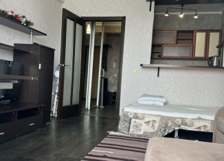 Продажа однокомнатной квартиры, 30 м2, Казань, улица Академика Сахарова, 18