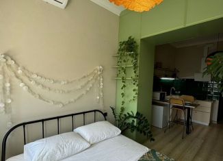 Сдам в аренду квартиру студию, 25 м2, Республика Башкортостан, улица Аксакова, 81