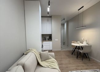 Сдам квартиру студию, 26 м2, Санкт-Петербург, Ремесленная улица, 7Д