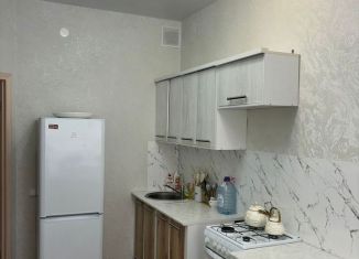 Сдаю в аренду однокомнатную квартиру, 33.8 м2, Санкт-Петербург, Бухарестская улица, 33к2