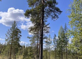 Продажа земельного участка, 15 сот., Карелия, Родниковая улица